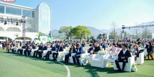 <?php the_title(); ?>