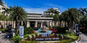 <?php the_title(); ?>