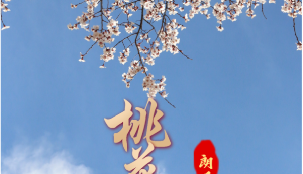 知·朗县丨官宣！2024年林芝市第二十一届桃花旅游文化节朗县分会场活动来了！！！