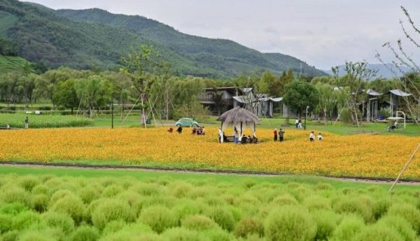 径山花海嘉年华，打造“花海+”消费新场景
