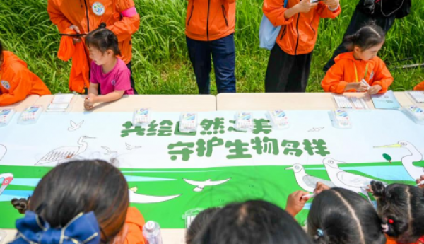 “菲”鸟的家·湿地守护行动自然科考活动  在东营黄河口湿地举行  ​