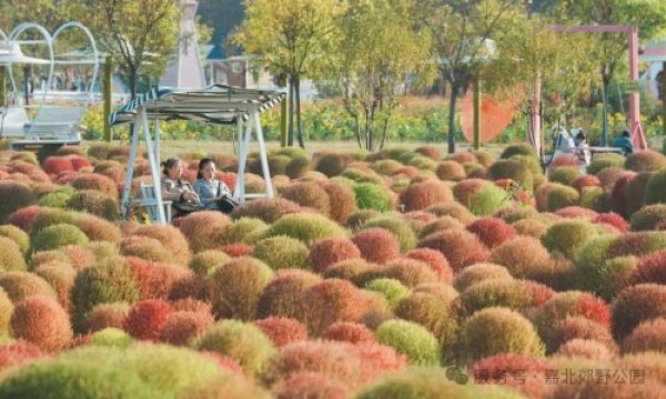 都市运动新地标！嘉北郊野公园解锁“体育+旅游”度假新玩法