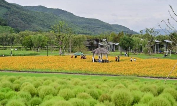 径山花海嘉年华，打造“花海+”消费新场景