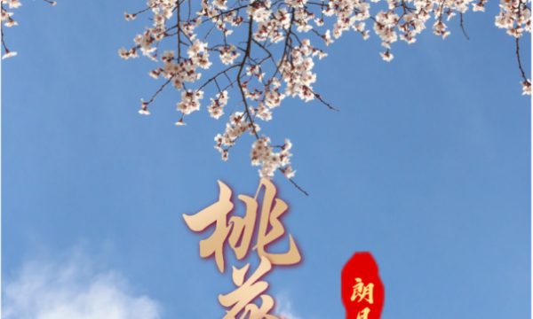 知·朗县丨官宣！2024年林芝市第二十一届桃花旅游文化节朗县分会场活动来了！！！