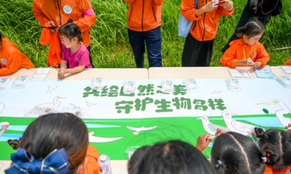 “菲”鸟的家·湿地守护行动自然科考活动  在东营黄河口湿地举行  ​